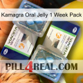 Kamagra Oral Jelly 1 Week Pack viagra5